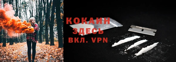 ешки Володарск