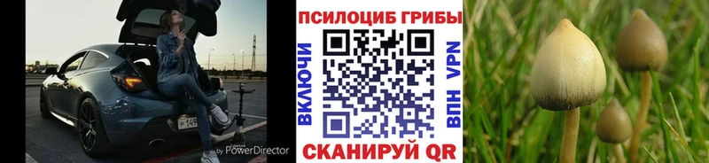 Псилоцибиновые грибы MAGIC MUSHROOMS  shop Telegram  Касимов 
